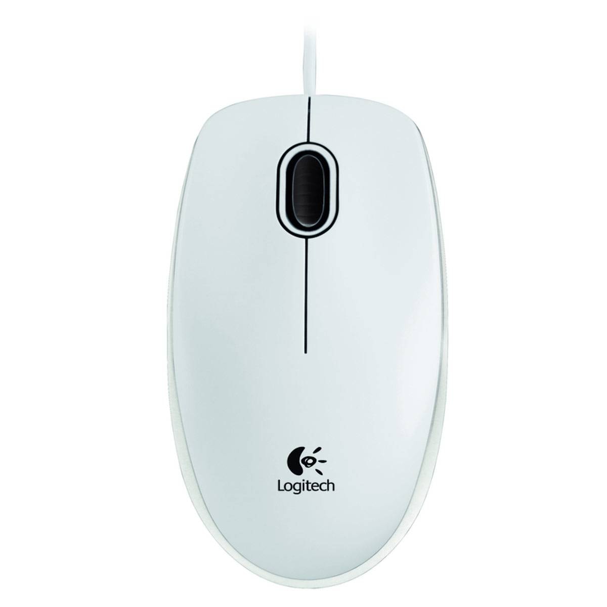 Product gallery prod_01KTKCCDEPR8GR3EANS2WRH05G-0
