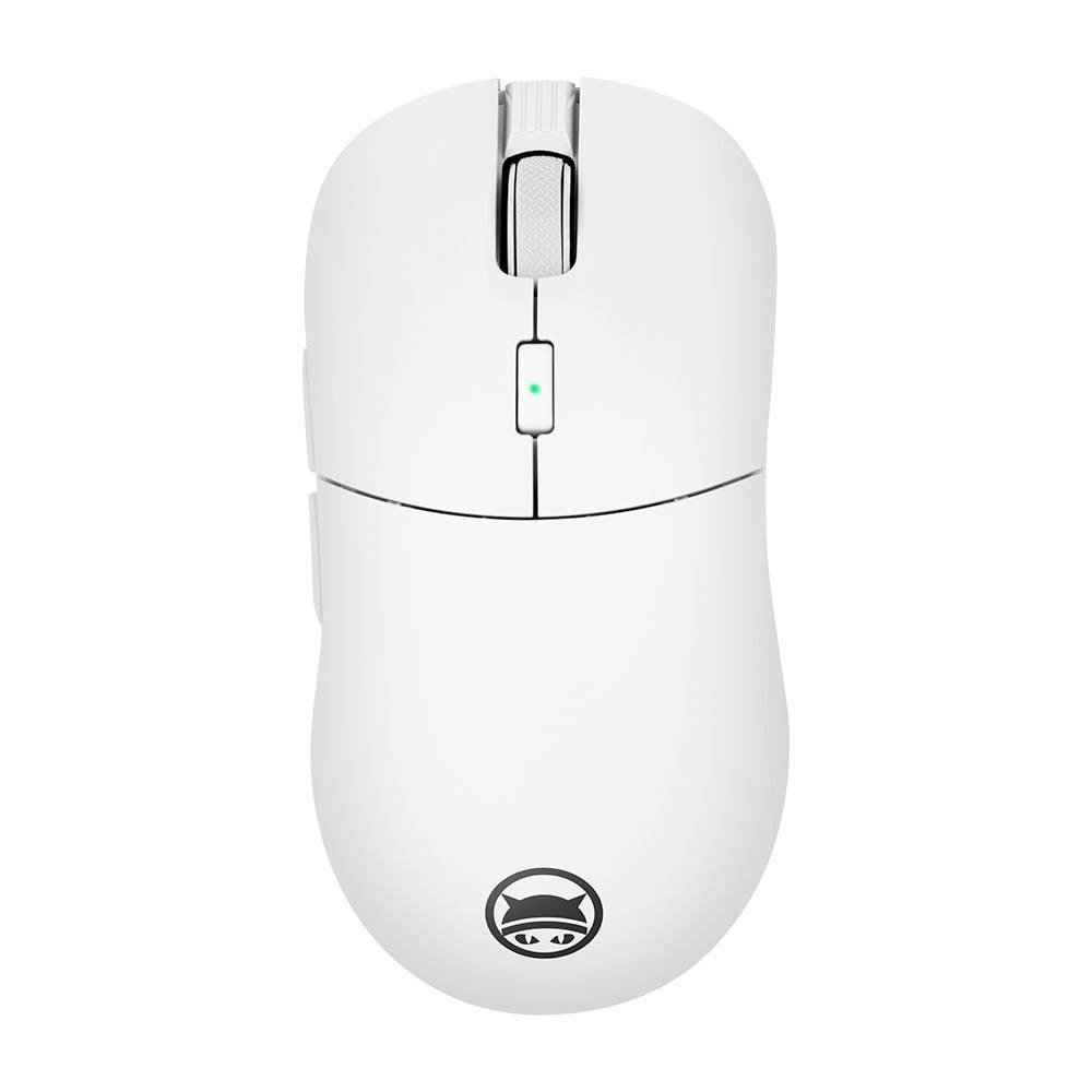 Product gallery prod_01KTKCFE4DMH3QY1DH6Z0BNYAW-1