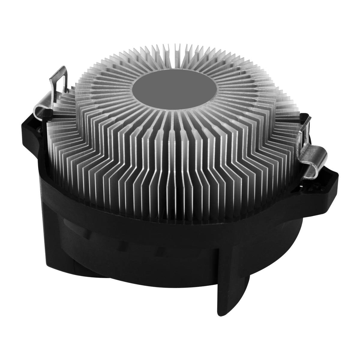 Product gallery prod_01KTKCTA4M92C2SMZ0AEYGWBEJ-1