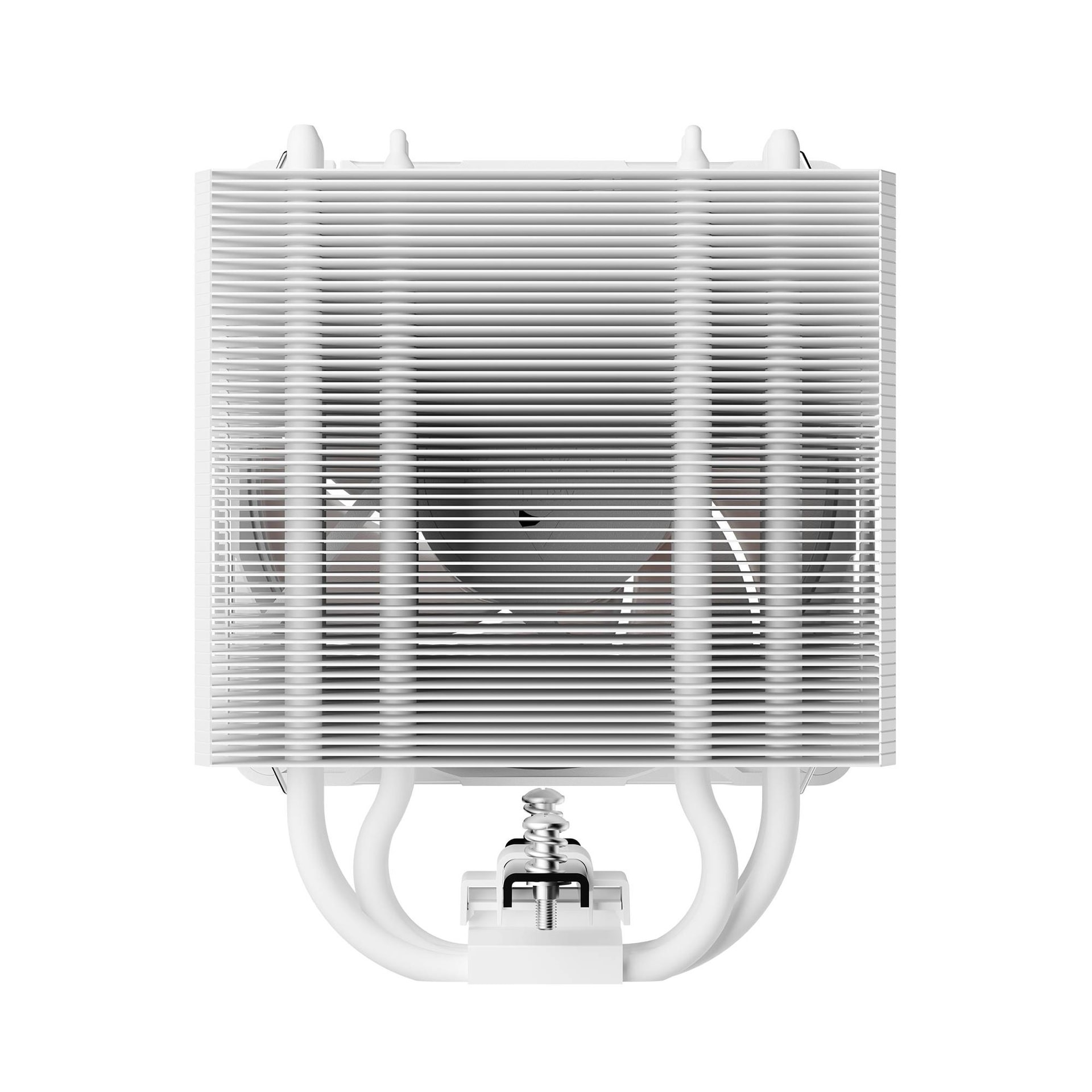 Product gallery prod_01KTKDVCRT8PYGH2MHNBWWFN4Q-5