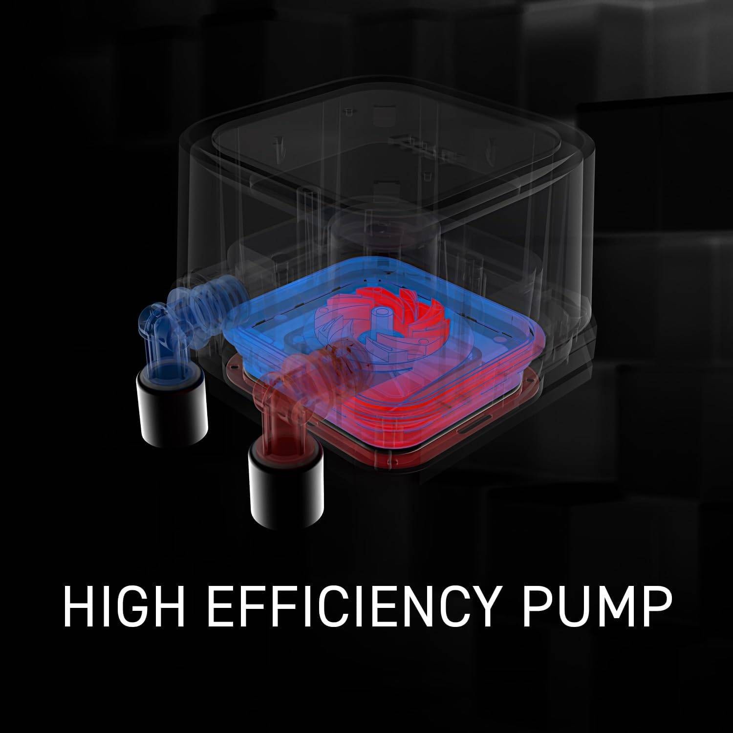 Product gallery prod_01KTKCEWNP6S81EX7BZ1NHMY7K-5