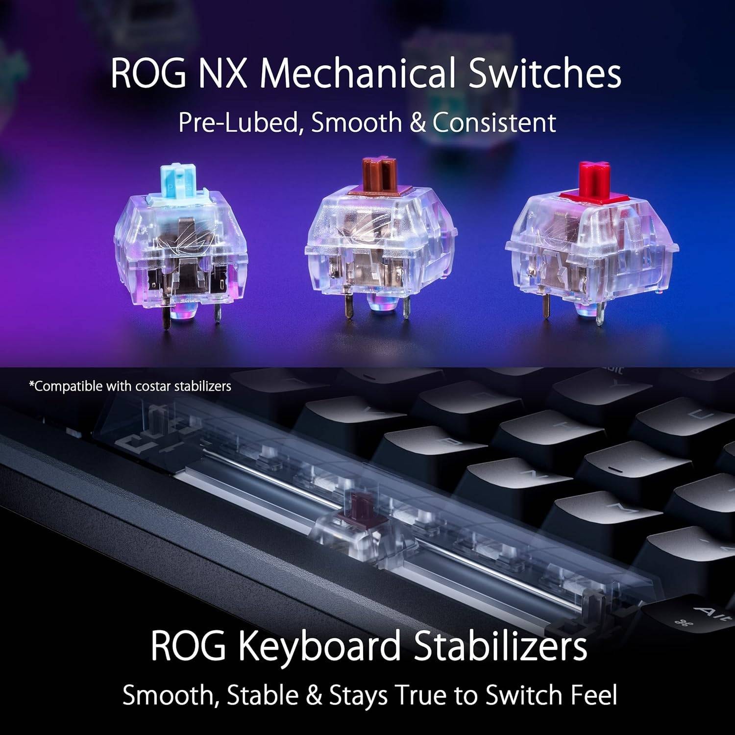 Product gallery prod_01KTKD3S4BG92B7KDM93AZ3HDQ-4