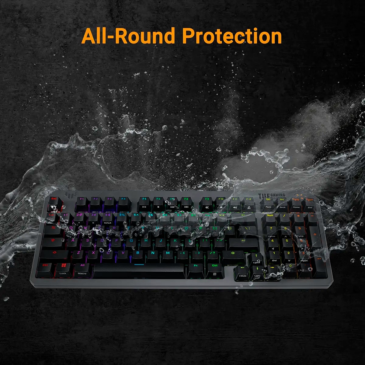 Product gallery prod_01KTKD3T1BGDQPB0S7BFWB12QP-2