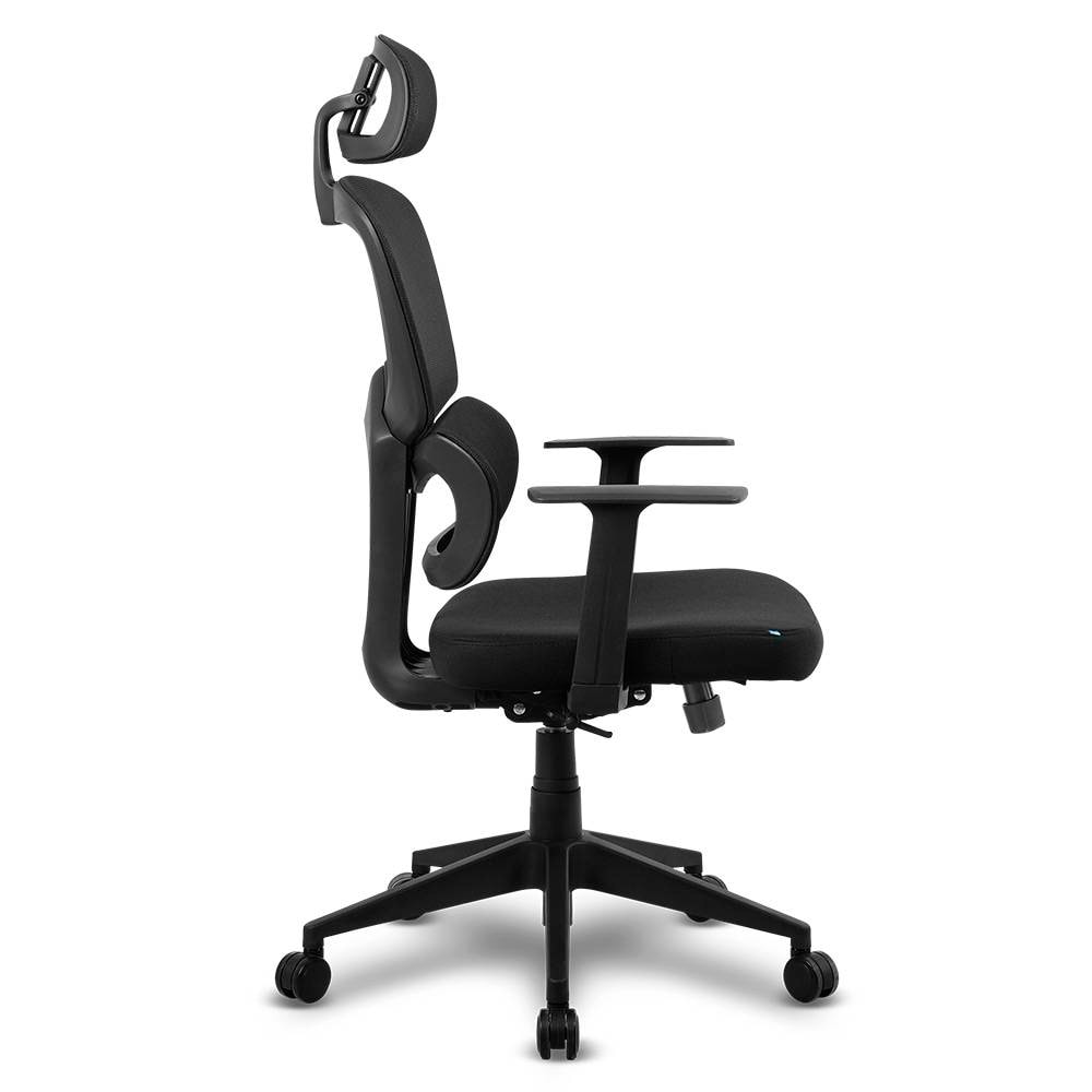 Product gallery prod_01KTKCBY5198M62N8274DQKFPK-2