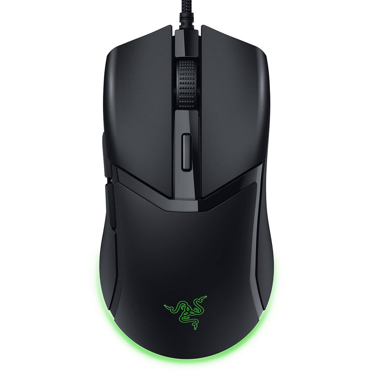 Product gallery prod_01KTKBT9CX73NEGKQED296VC7H-0