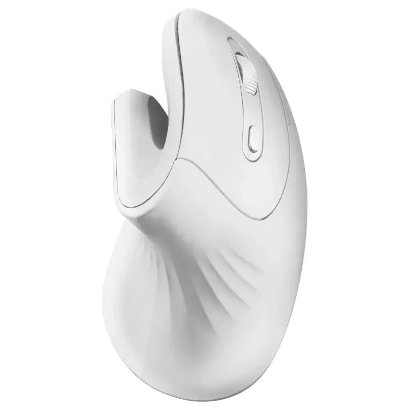 Product gallery prod_01KTKCC5X4CXRC1N1STW16MV4N-0
