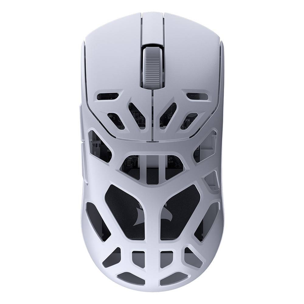 Product gallery prod_01KTKDKDNJ1Y46BHN4G0Y9D2TP-0