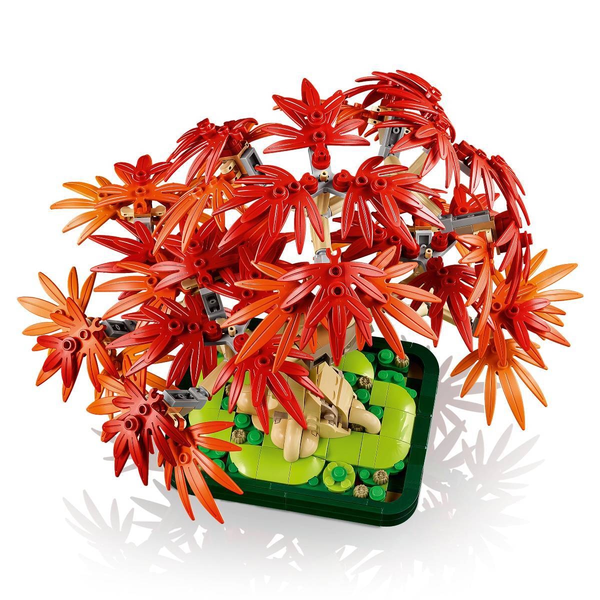 Product gallery prod_01KTKCQZKGEB5X86QT8VQXQ2JK-2