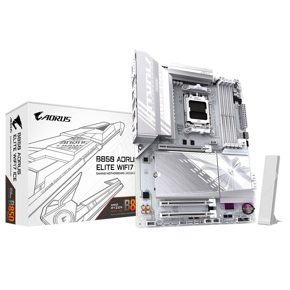 Product gallery prod_01KTKCJKT2P6GEF3Q9YWSG76QT-0