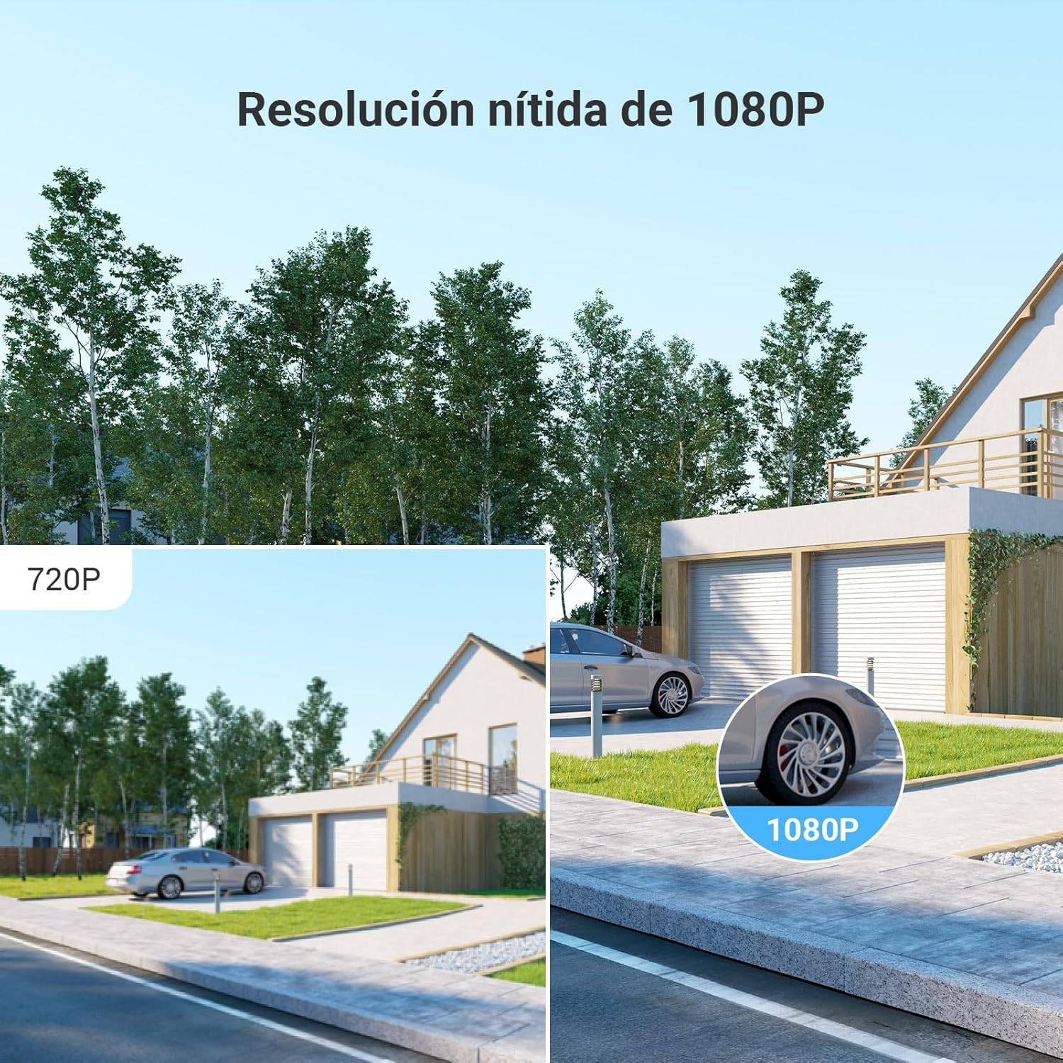 Product gallery prod_01KTKCM04F2749KRKVD8ESMBTR-3