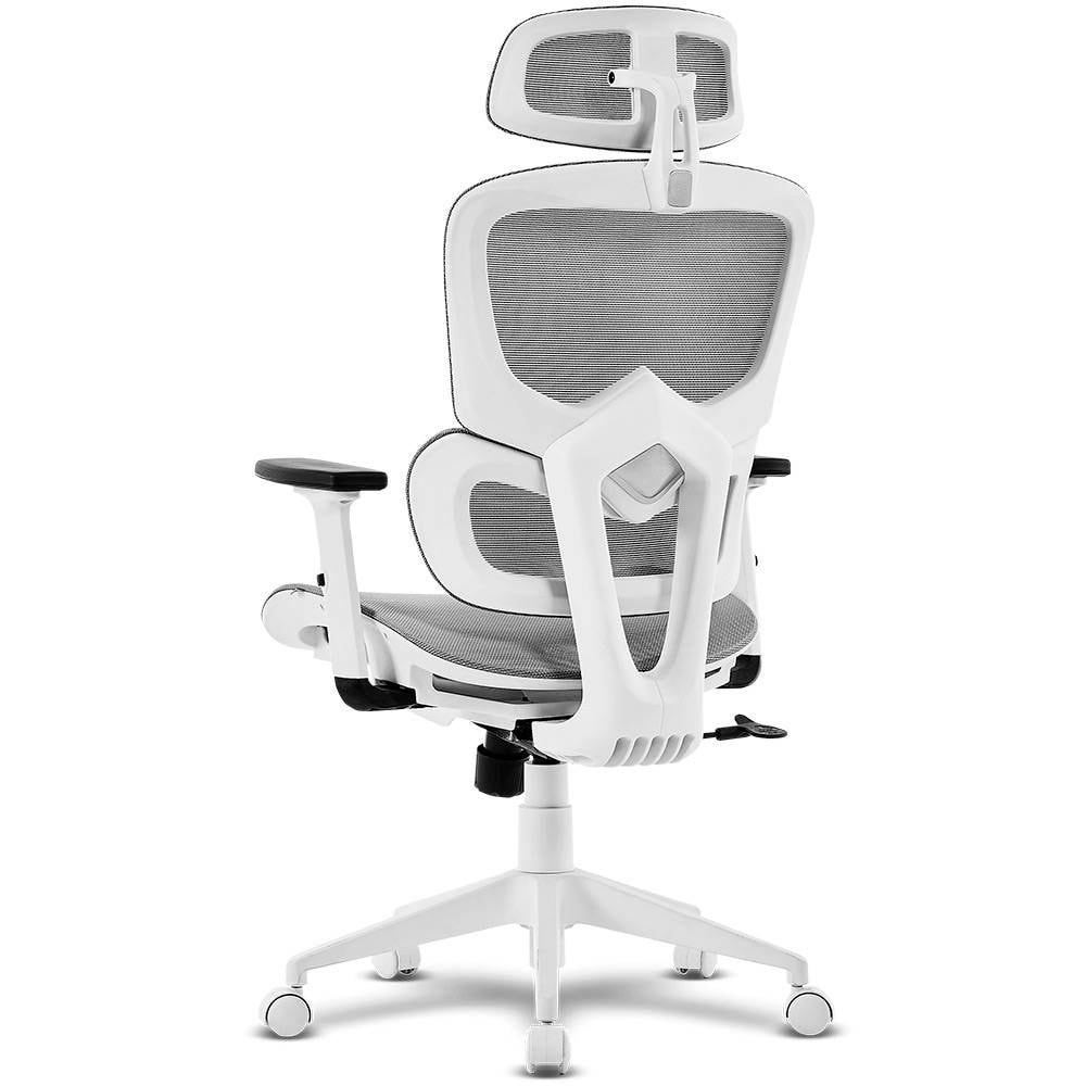 Product gallery prod_01KTKCBXK25KR6C6YETCQ8JV0G-3