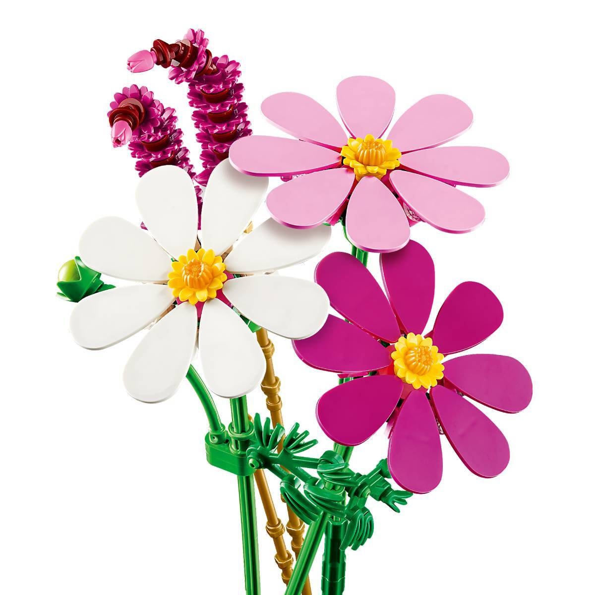 Product gallery prod_01KTKDQJA07B7CF8ZTNX9R764P-5