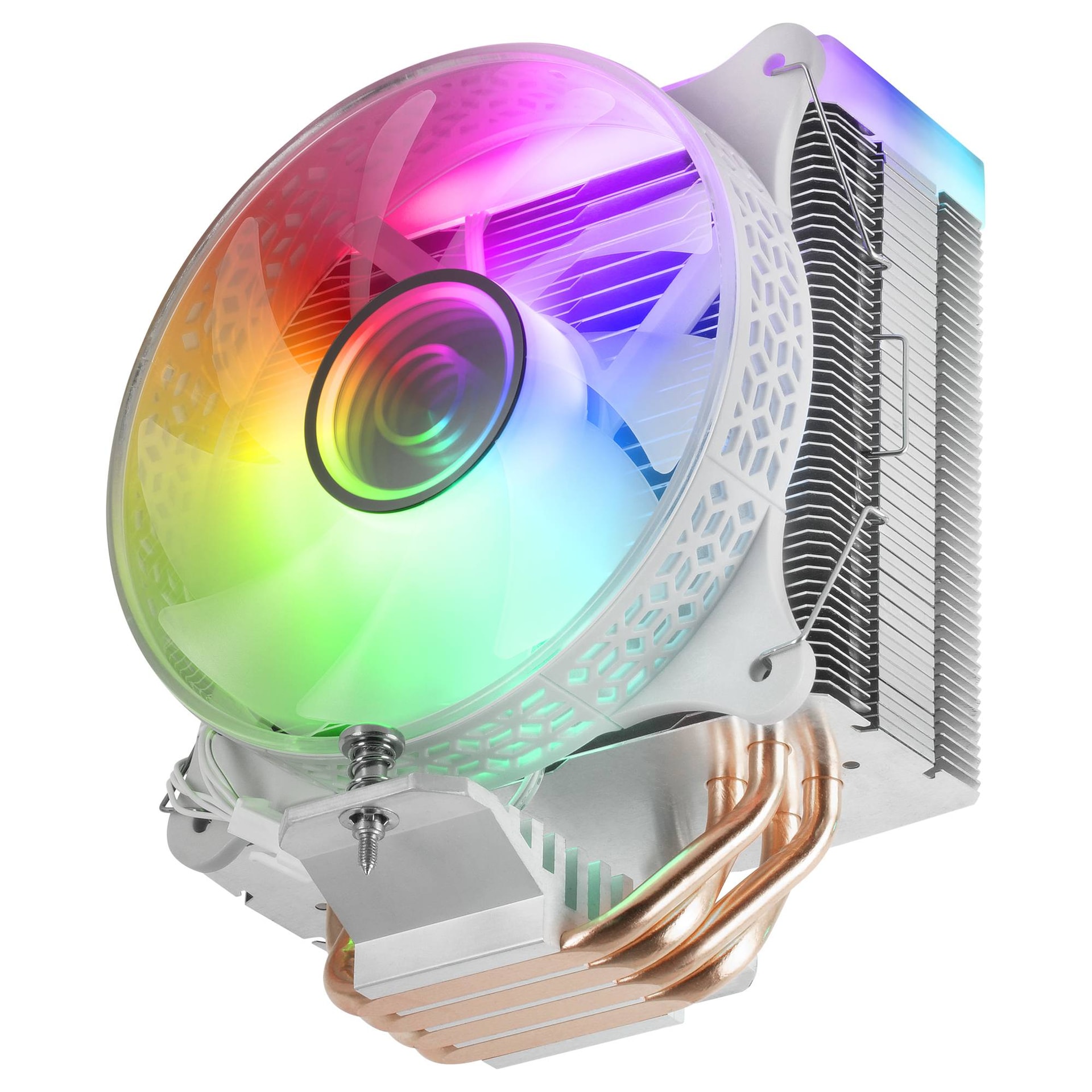 Product gallery prod_01KTKCSBK69G1G39W1RBABE4TM-3