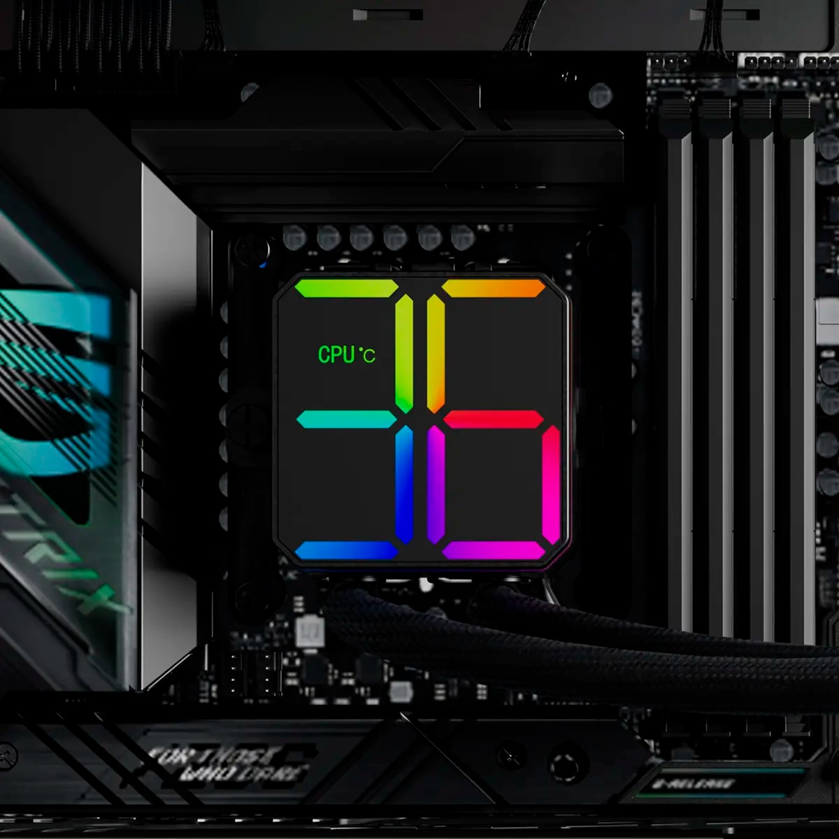 Product gallery prod_01KTKDBKXNQW0PFMM2CW1WB9C3-2
