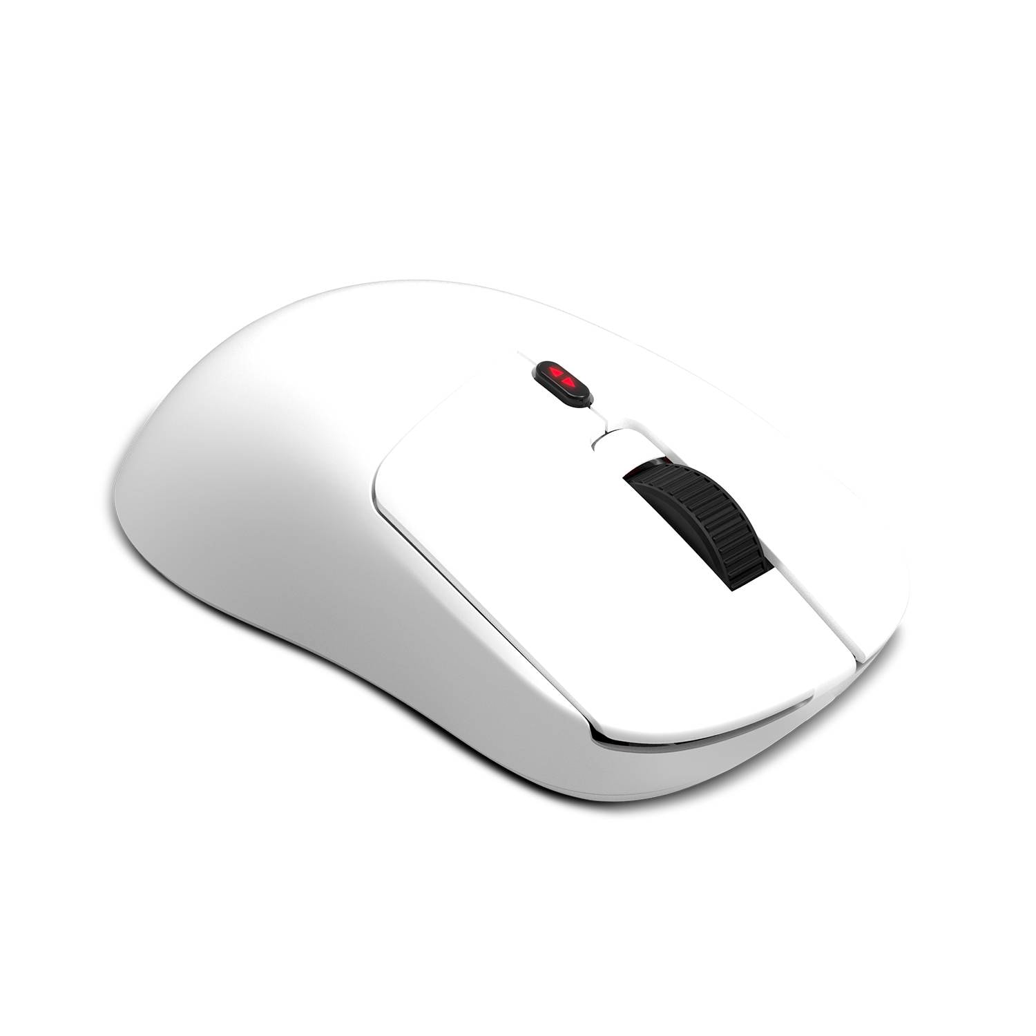 Product gallery prod_01KTKCCANW0ACXEZPP26YXFJEZ-5