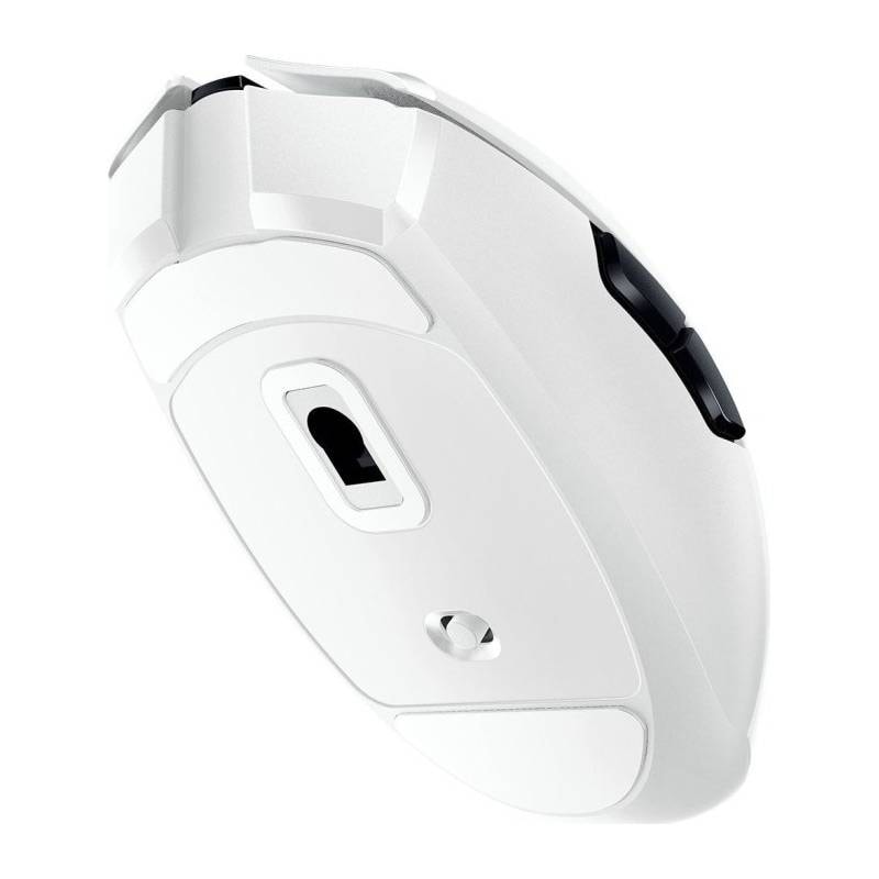 Product gallery prod_01KTKBYRHFJJ8PCYHEN48F4C90-2