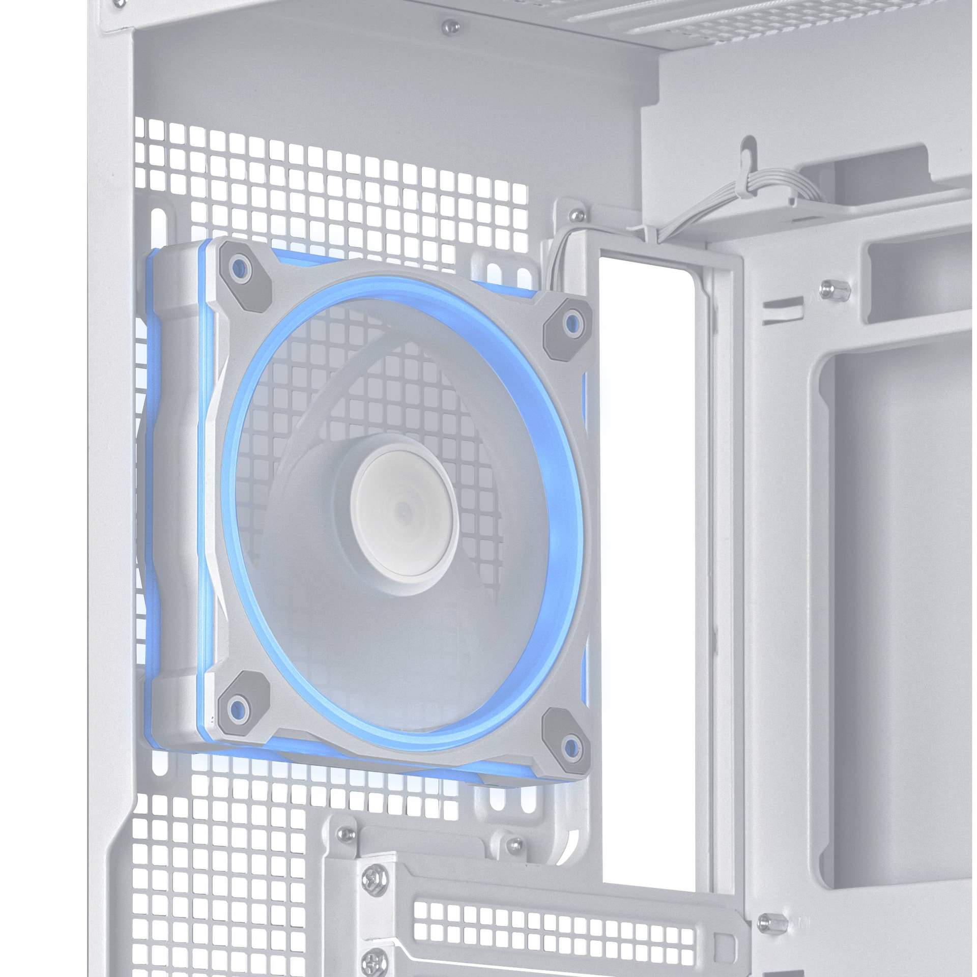 Product gallery prod_01KTKDDV9NESEWS47JW0QEDE97-3
