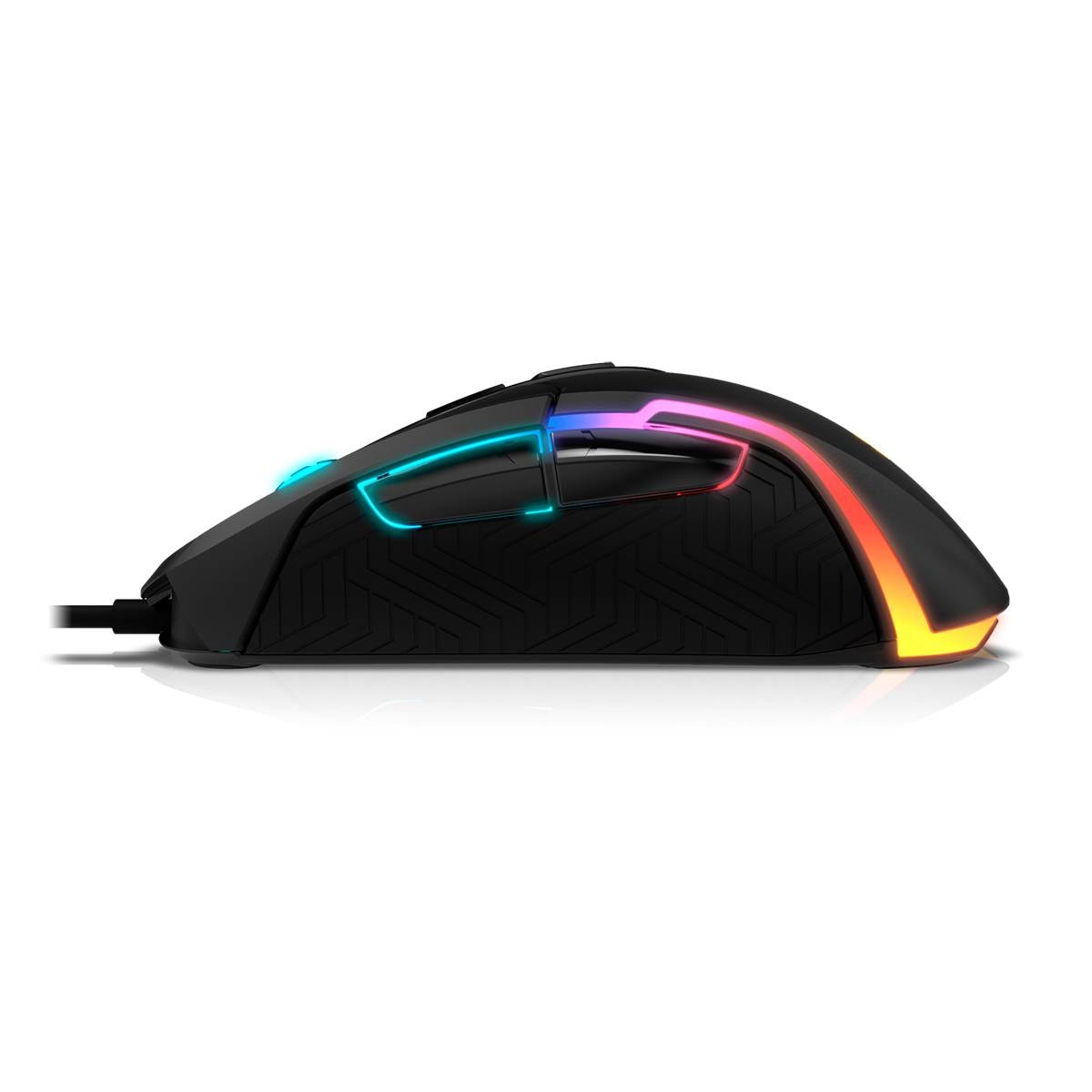 Product gallery prod_01KTKCDVSQ0ZZZDBHSY0D95047-5