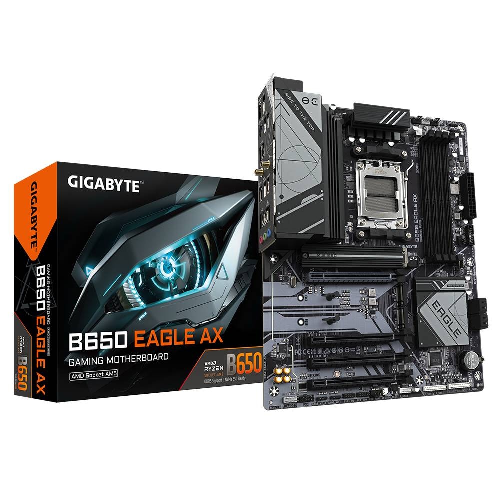 Product gallery prod_01KTKD5YT4G3TC5VVR1ERFAAXN-0