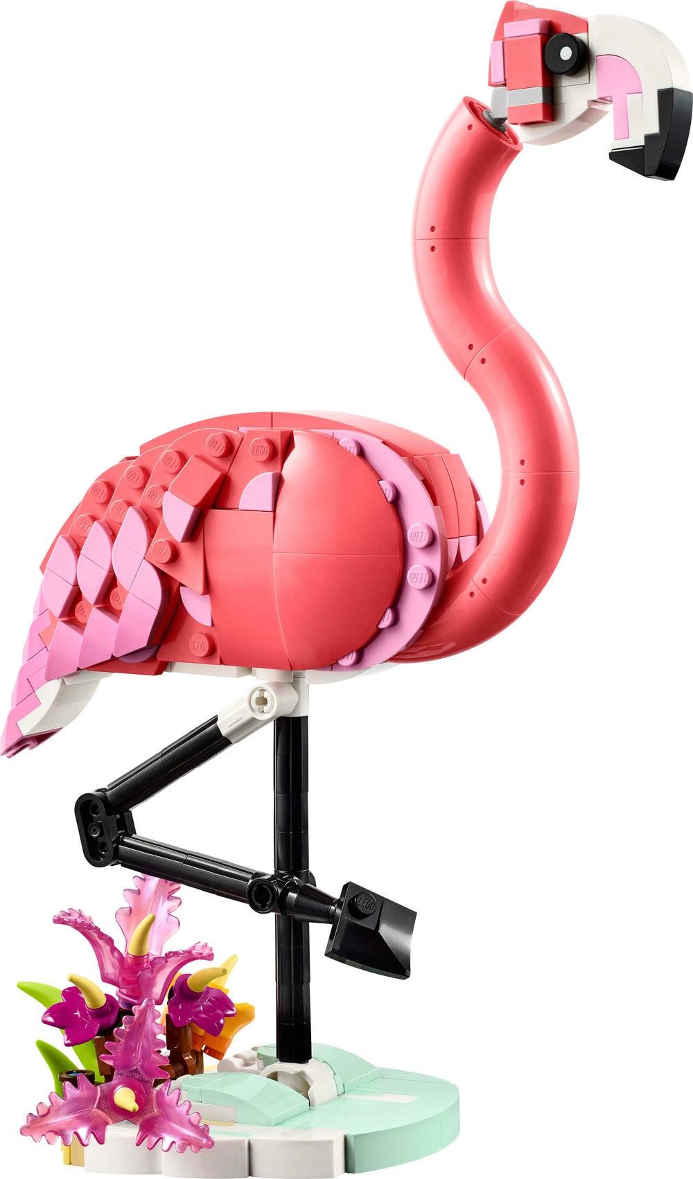 Product gallery prod_01KTKCG26BM3VY4E03DX6CZ2D9-1
