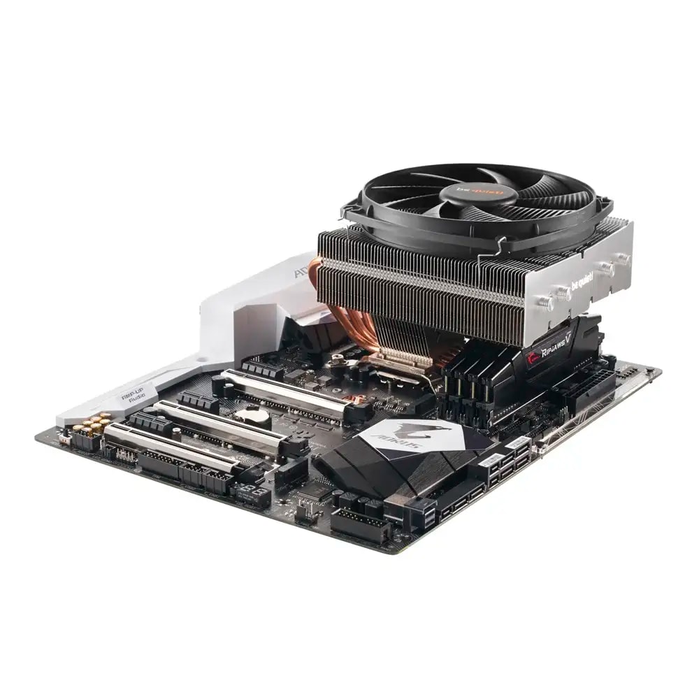 Product gallery prod_01KTKD4AHVTJT871ZGHFENQK3H-3