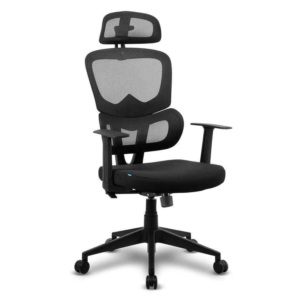 Product gallery prod_01KTKCBY5198M62N8274DQKFPK-0