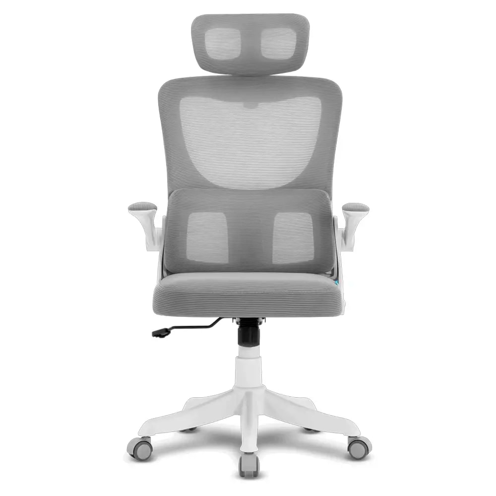 Product gallery prod_01KTKD1WBB9KD9HAH2T1CZFZPT-1
