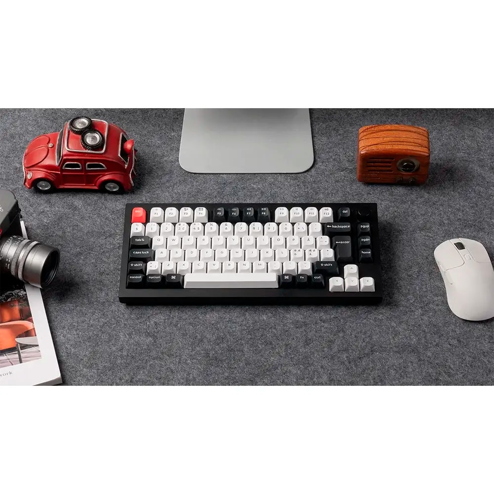 Product gallery prod_01KTKCX52E966D0CM5682244EM-2