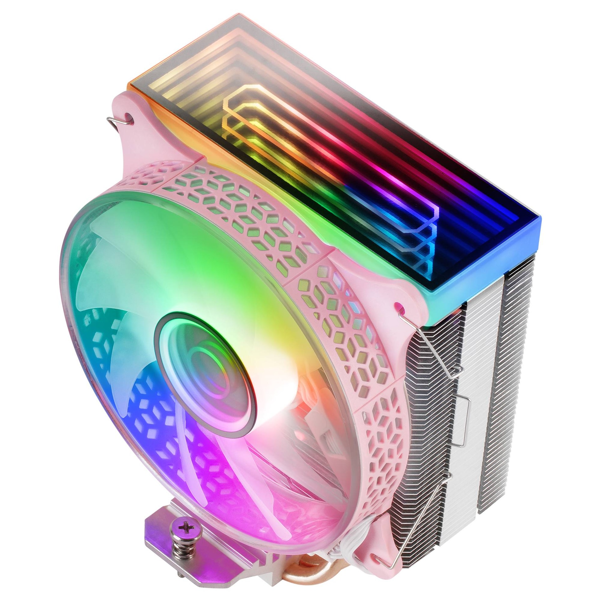 Product gallery prod_01KTKCMW0GCVMDVNP7GS6F98J3-2