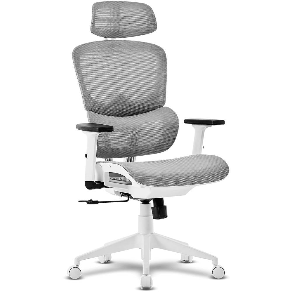 Product gallery prod_01KTKCBXK25KR6C6YETCQ8JV0G-0