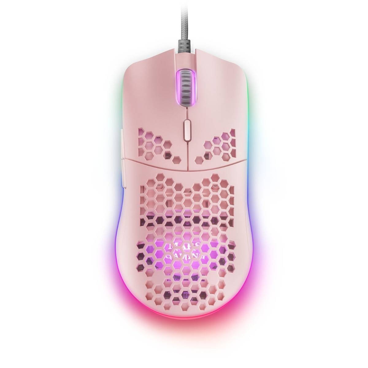 Product gallery prod_01KTKCC6KBYYGVVPX479N0XCN4-0