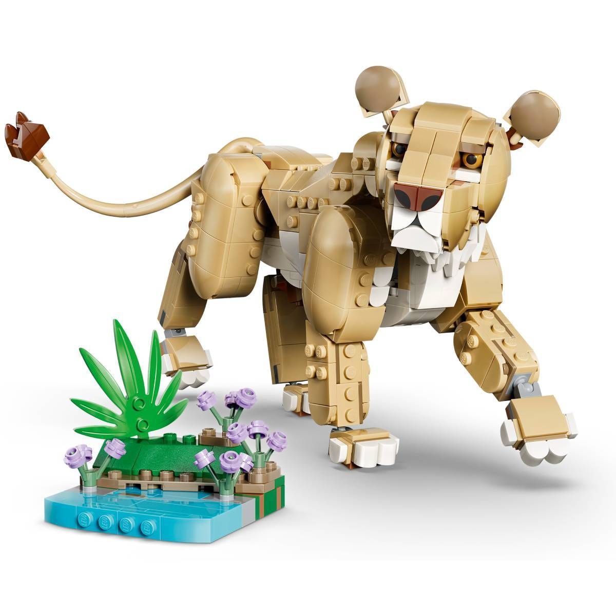 Product gallery prod_01KTKDQTJQ6SVZSKQZWRY43R5J-1