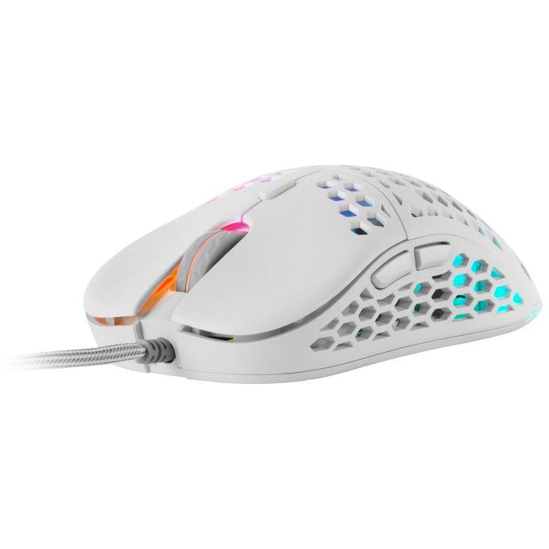 Product gallery prod_01KTKC170VT031MQV2Y812WHHW-3