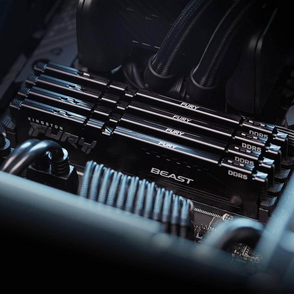 Product gallery prod_01KTKCSPBYS5YCP96NS8CPR50Y-1