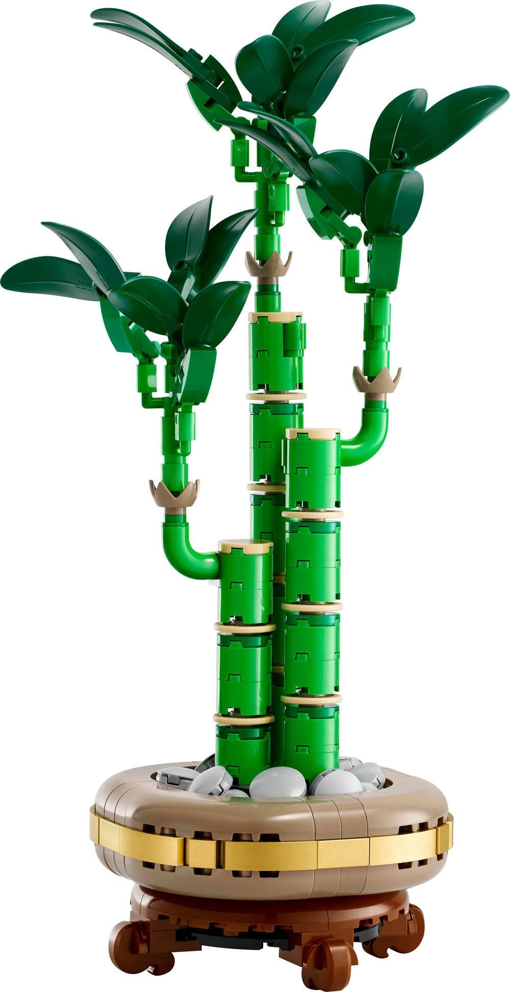 Product gallery prod_01KTKCF6CXRZXGYHA99HBK2573-1