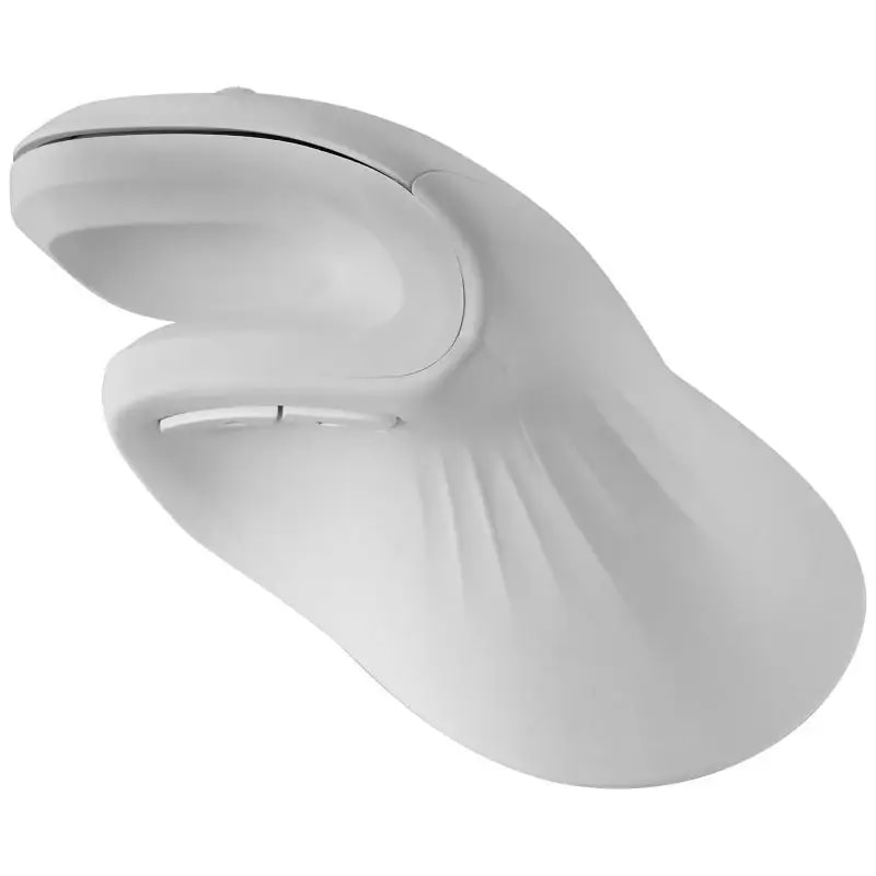 Product gallery prod_01KTKCC5X4CXRC1N1STW16MV4N-1