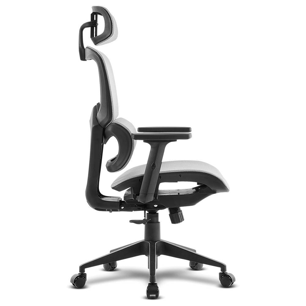 Product gallery prod_01KTKCBVC8HVN3ECM6JWHWH7A9-2