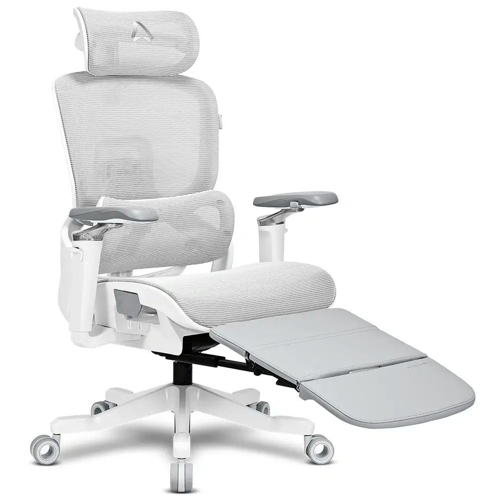 Product gallery prod_01KTKD1YCZV6KGVXGRYY50AYFB-2