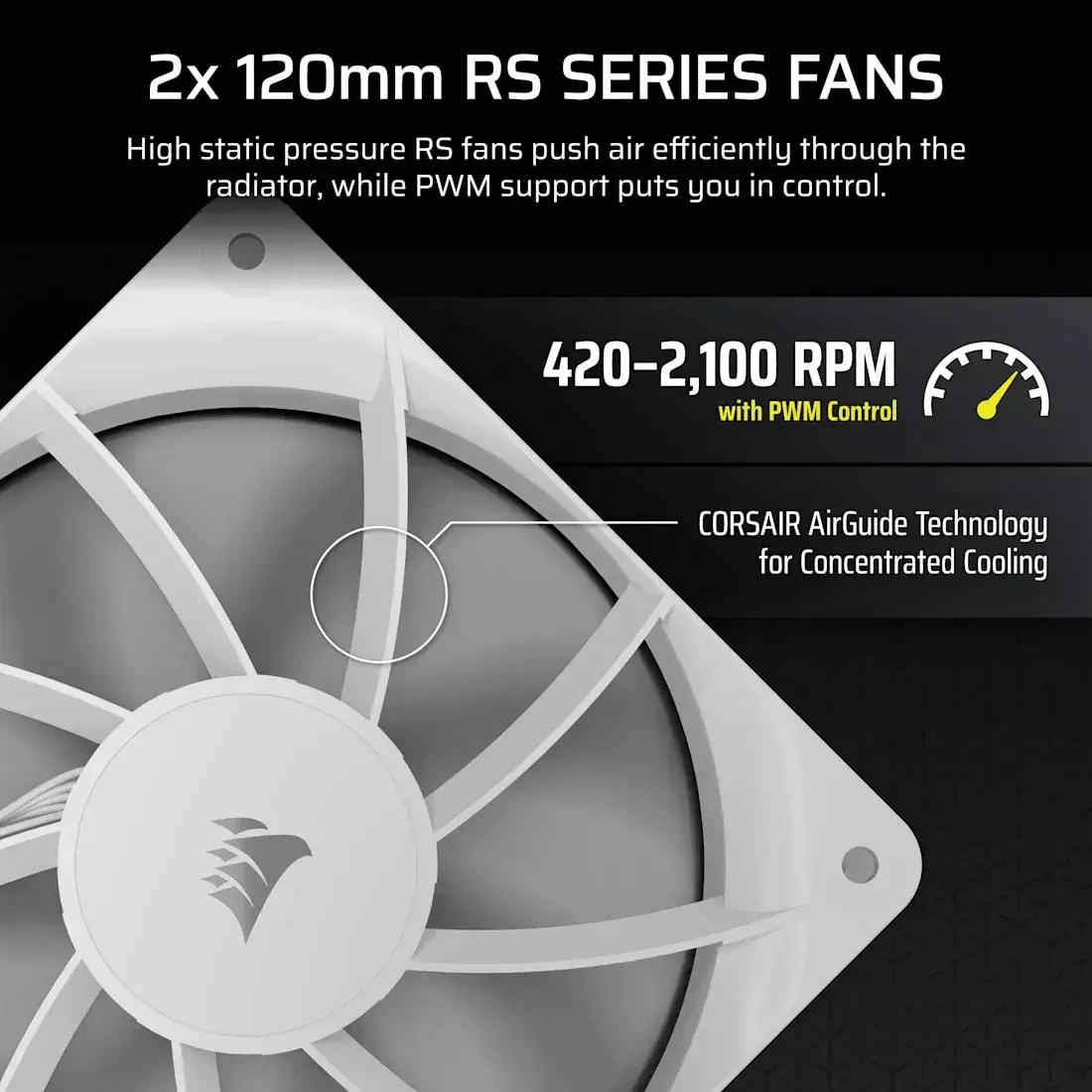 Product gallery prod_01KTKD07JAEQN5AP8SJF76BTB7-3