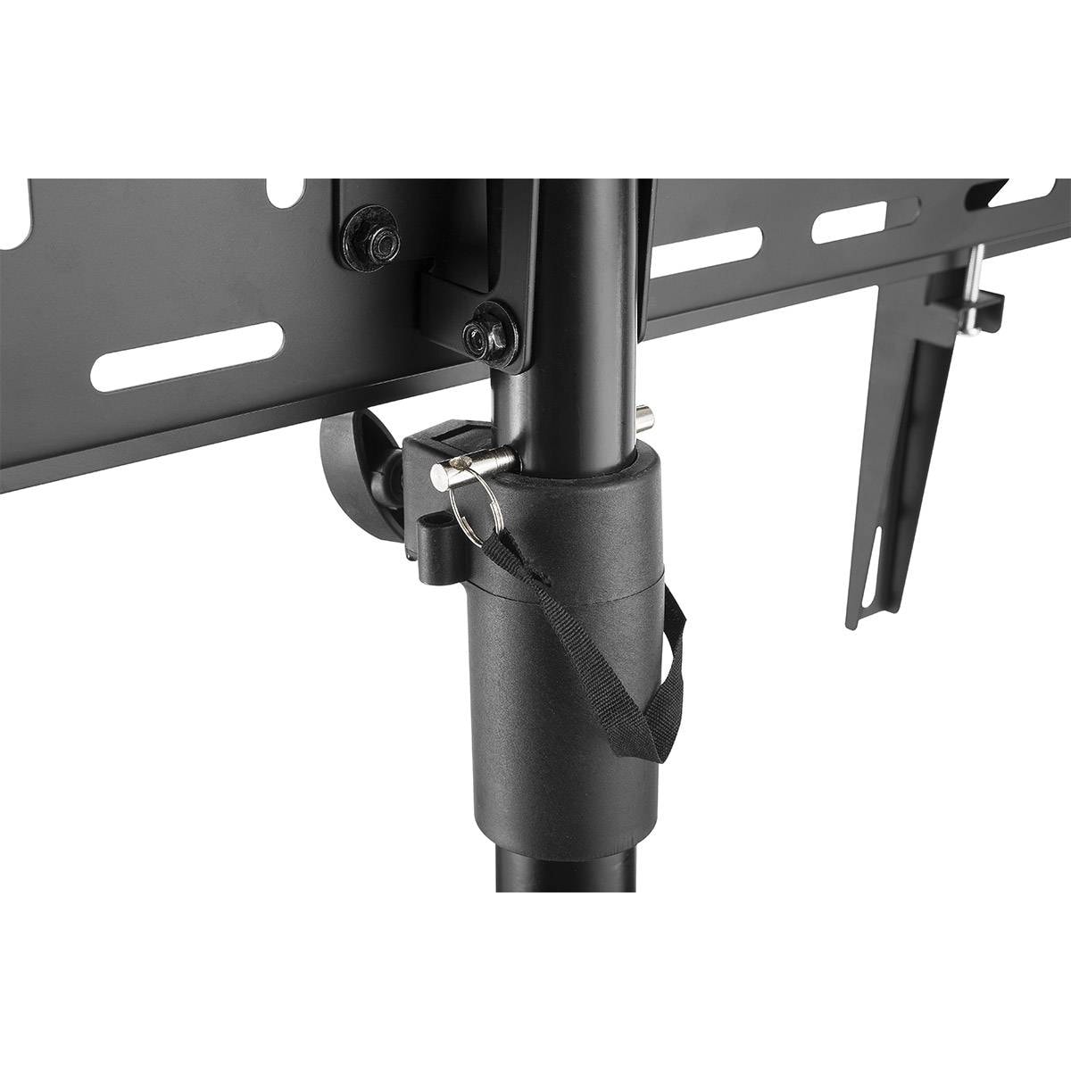 Product gallery prod_01KTKC5GD4G8QHRP0A6XK41CB0-5