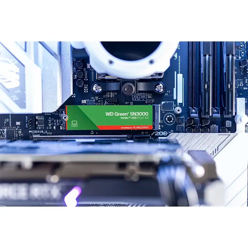 Product gallery prod_01KTKCHSJZAVNCVHZ09ERAN51Z-2
