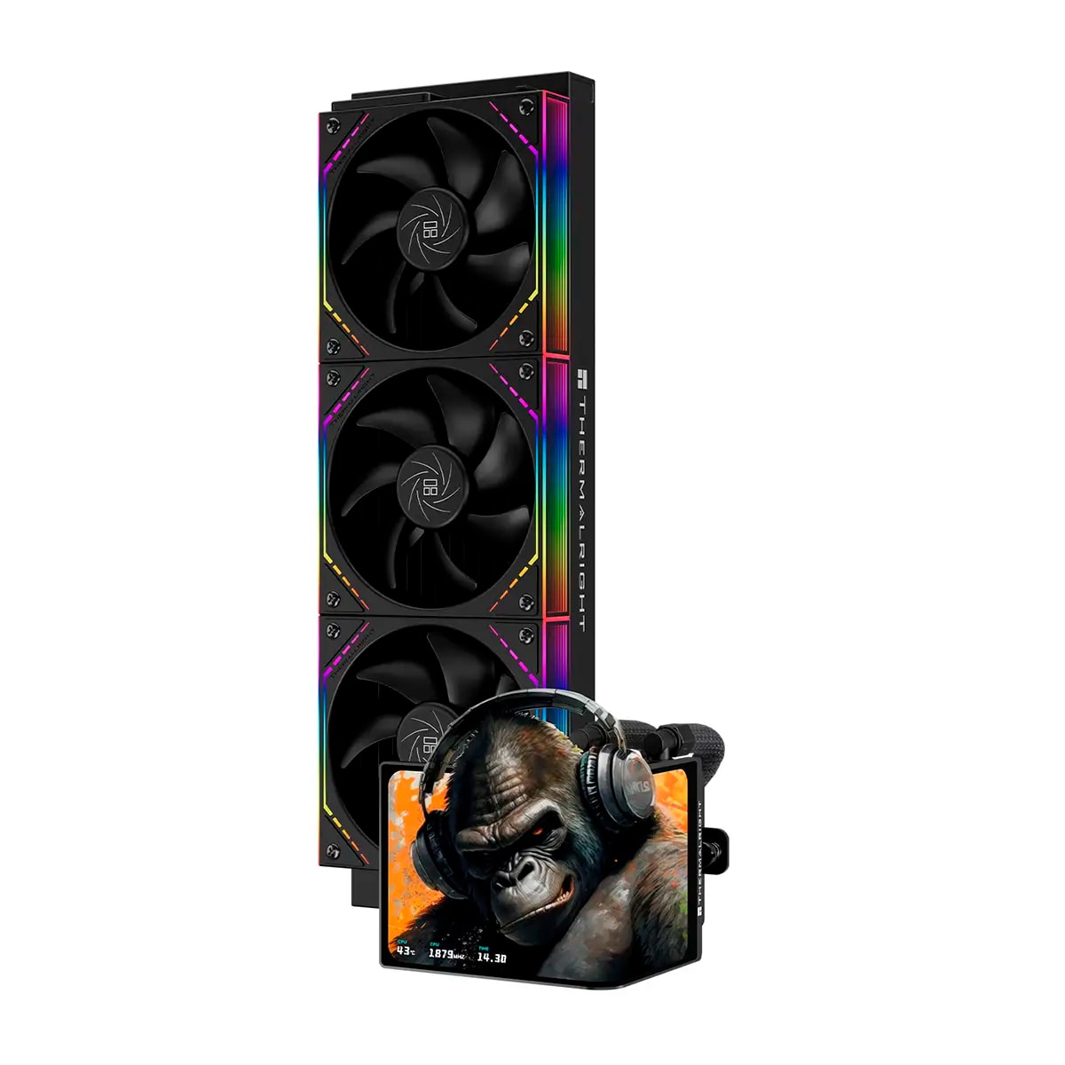 Product gallery prod_01KTKDBM38T41MPT9FJQ0JZJKP-1