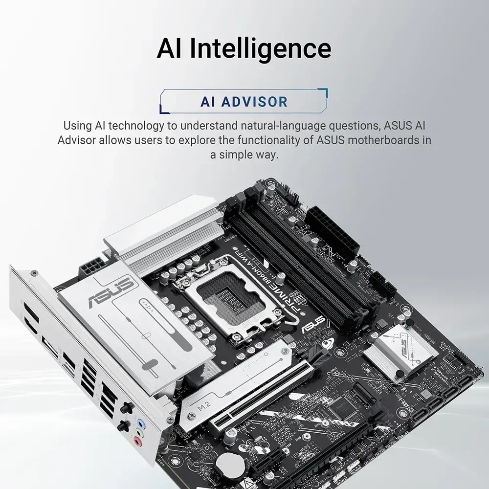 Product gallery prod_01KTKCXY4W3XS75AENM28AEHP9-1